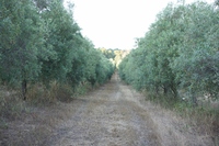 DSC02847 (1024x681).jpg